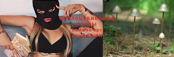соль курить ск Нея