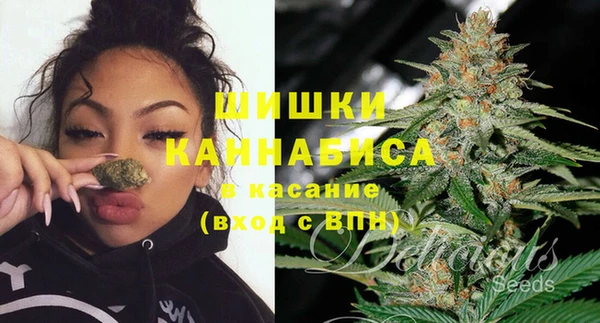 ПСИЛОЦИБИНОВЫЕ ГРИБЫ Нефтегорск