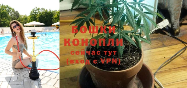 ПСИЛОЦИБИНОВЫЕ ГРИБЫ Нефтегорск