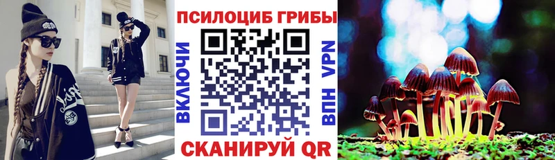купить наркоту  Тимашёвск  Псилоцибиновые грибы Magic Shrooms 